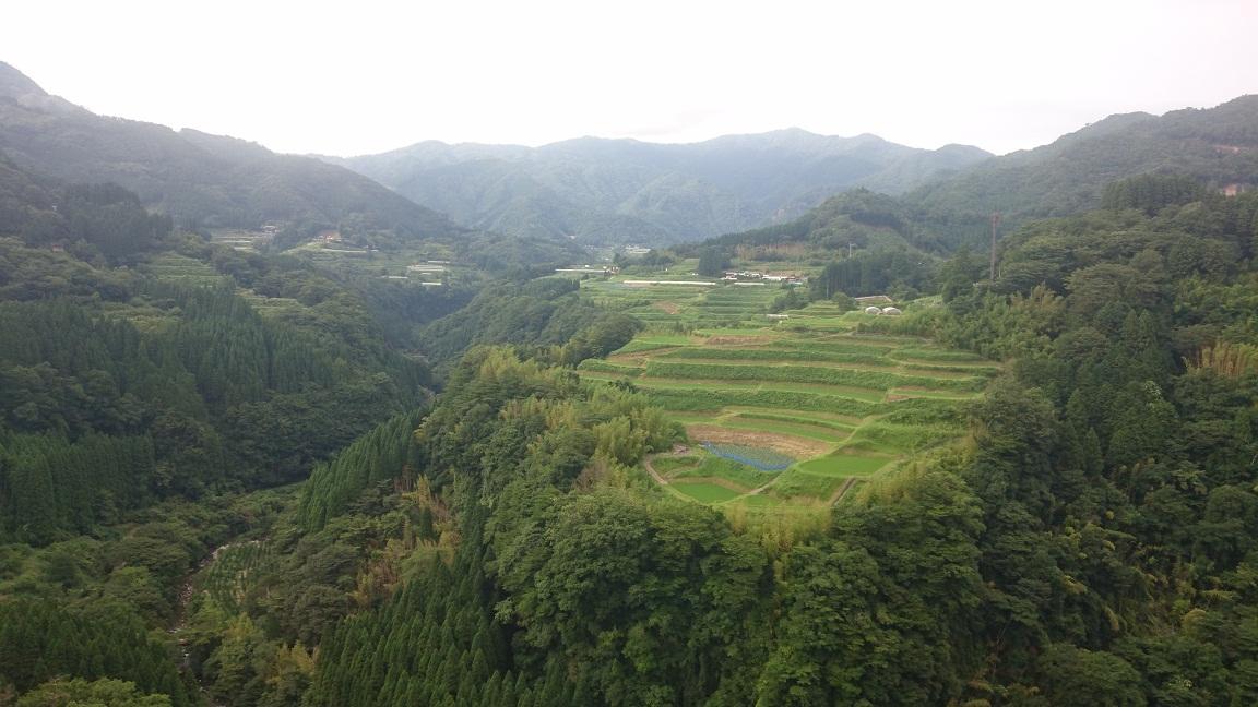 訪問先から撮った風景