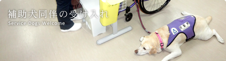 補助犬同伴の受け入れ