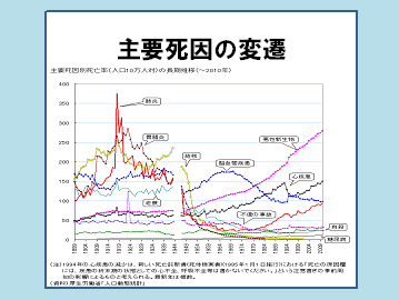 参考画像